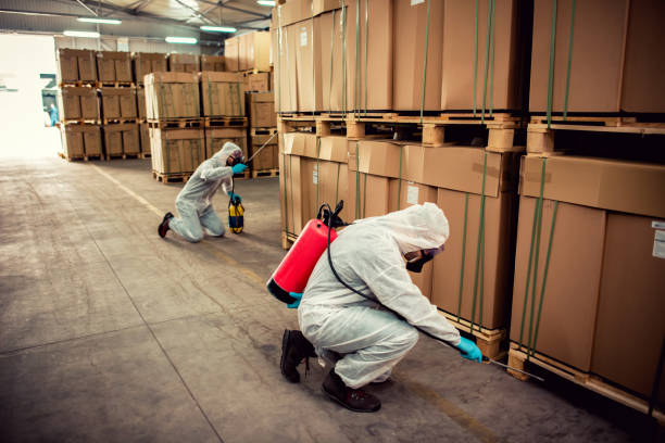Best Wasp Removal Services  in Tupelo, MS