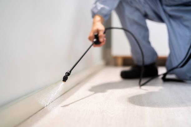 Professional Pest Control in Tupelo, MS