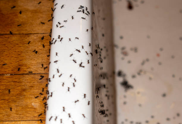Best Wildlife Control Services  in Tupelo, MS